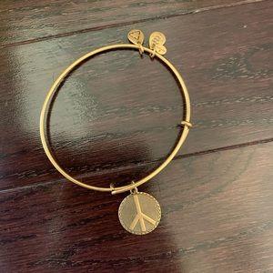 Alex and Ani Charm Bangle